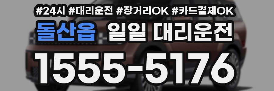 돌산읍 일일 대리운전