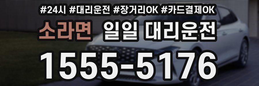 소라면 일일 대리운전