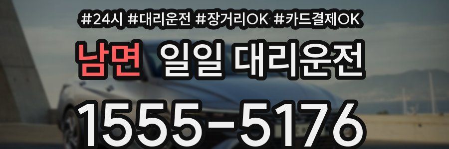 남면 일일 대리운전