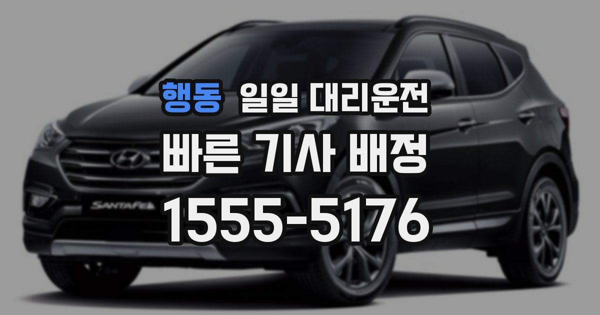 행동 일일 대리운전