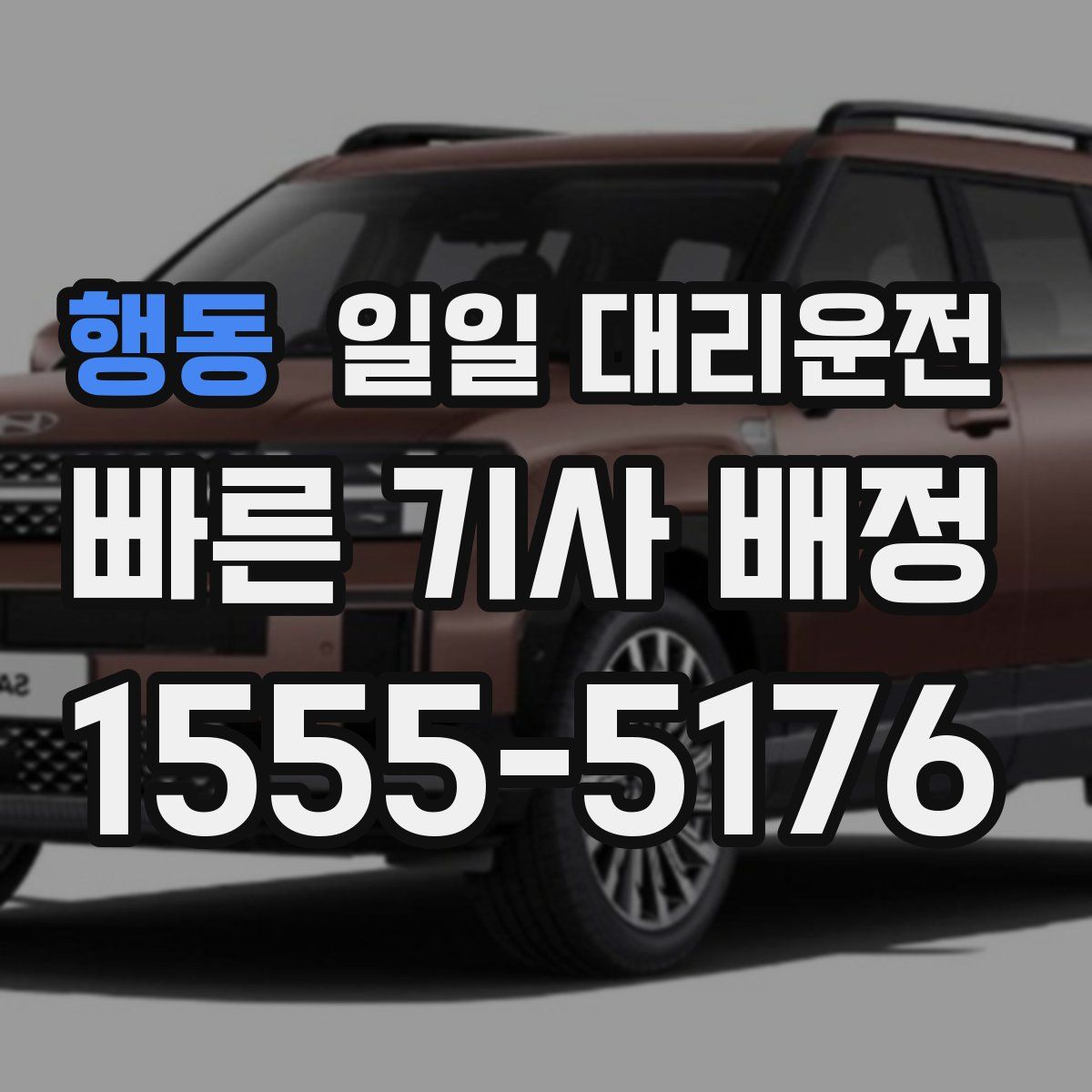 행동 일일 대리운전