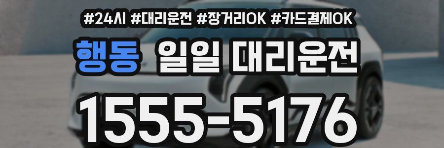 행동 일일 대리운전