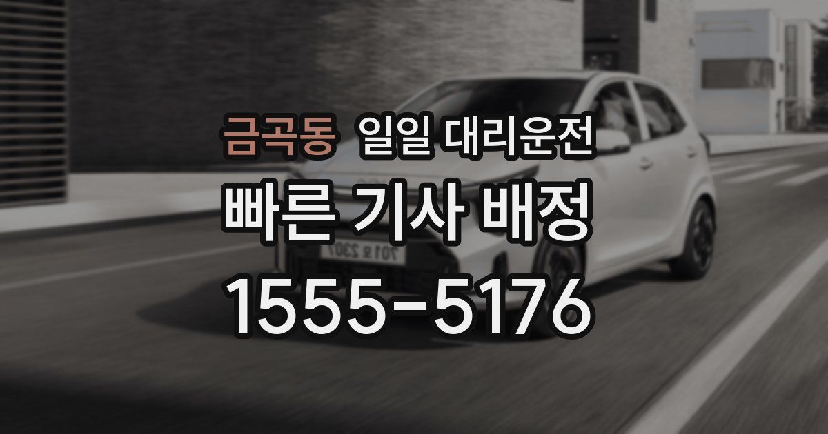 금곡동 일일 대리운전