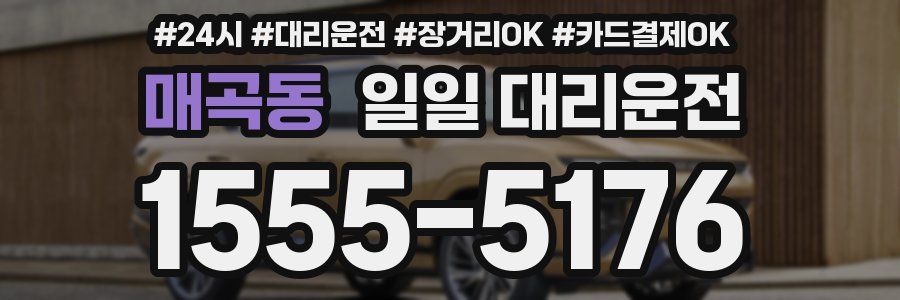 매곡동 일일 대리운전