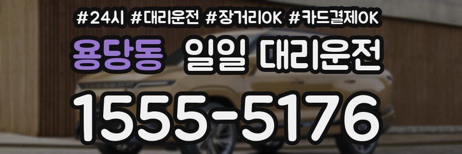 용당동 일일 대리운전