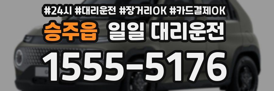 승주읍 일일 대리운전