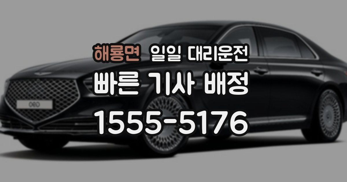 해룡면 일일 대리운전