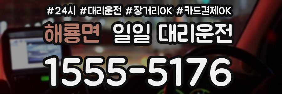 해룡면 일일 대리운전