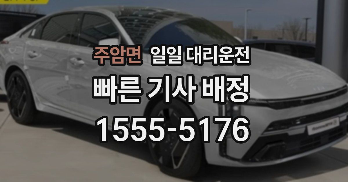 주암면 일일 대리운전