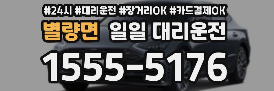 별량면 일일 대리운전