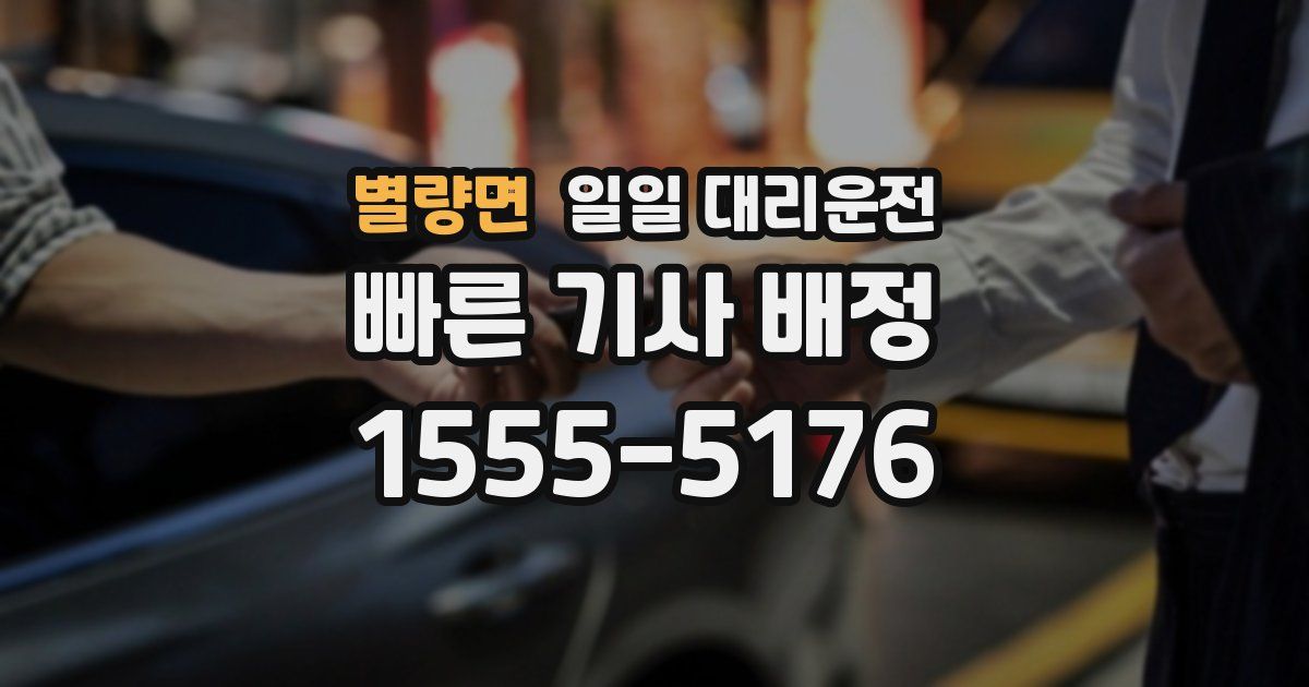 별량면 일일 대리운전