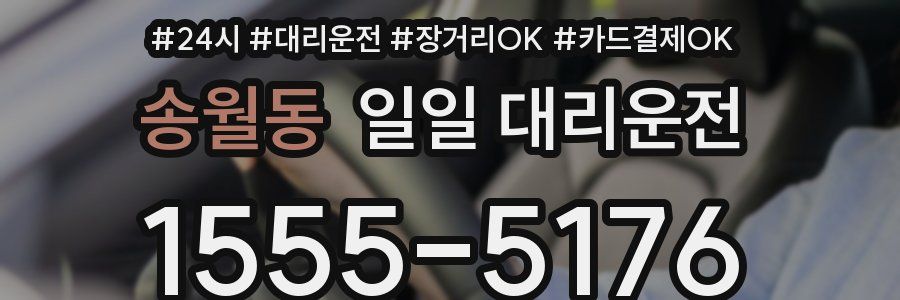 송월동 일일 대리운전