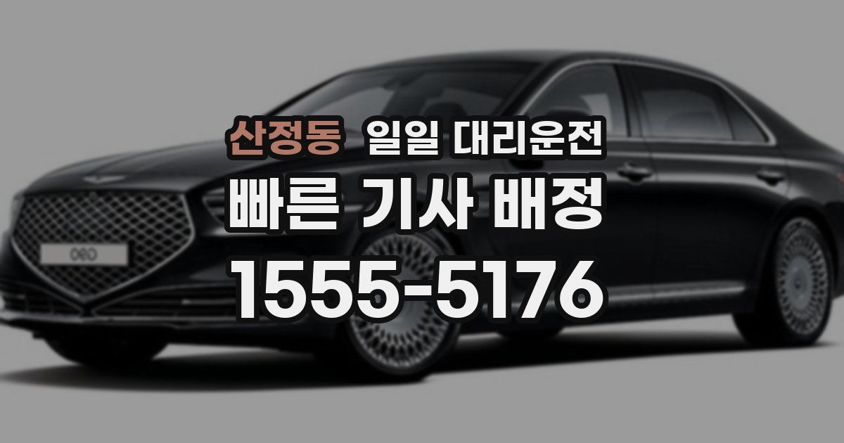 산정동 일일 대리운전