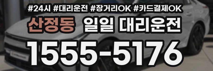 산정동 일일 대리운전