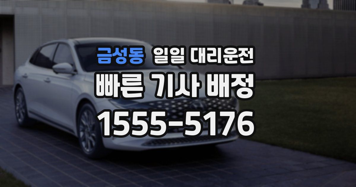 금성동 일일 대리운전