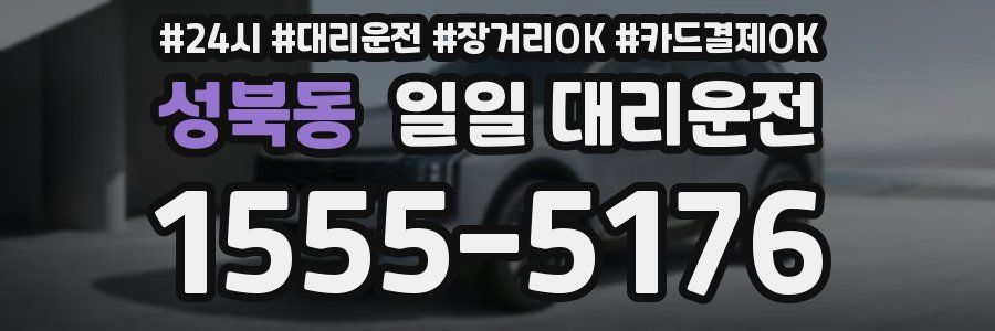 성북동 일일 대리운전