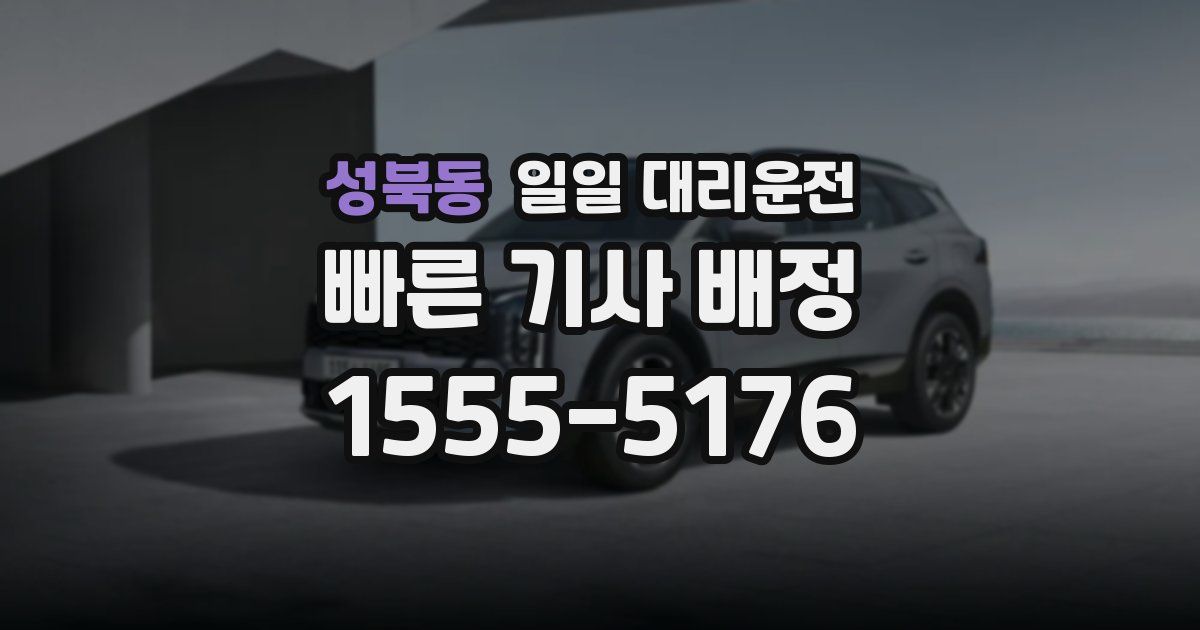 성북동 일일 대리운전