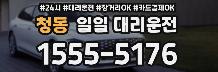 청동 일일 대리운전
