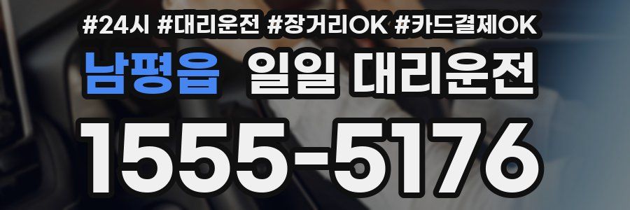 남평읍 일일 대리운전