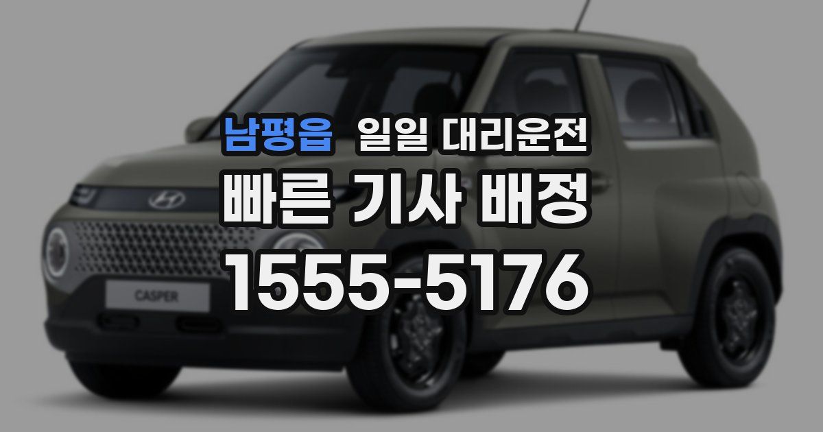 남평읍 일일 대리운전