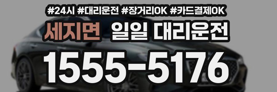 세지면 일일 대리운전