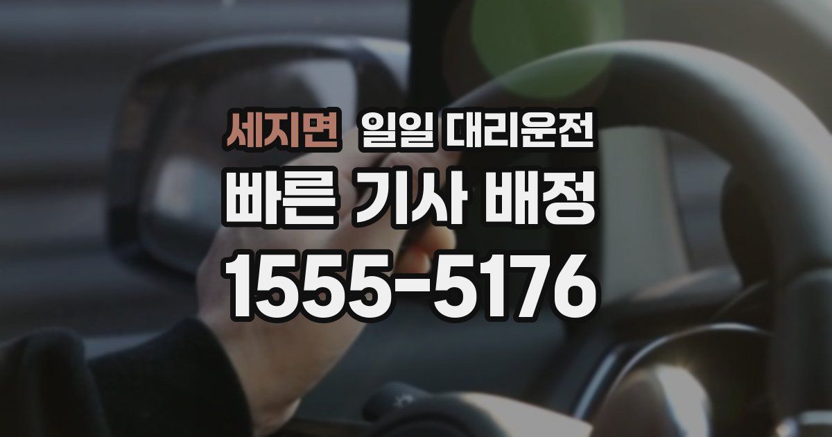 세지면 일일 대리운전