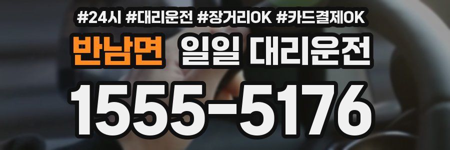 반남면 일일 대리운전