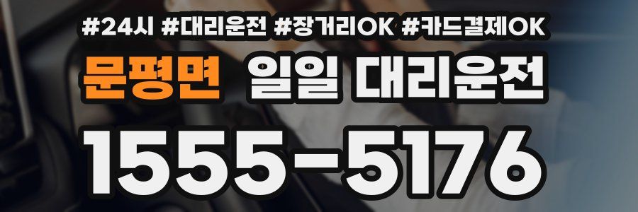 문평면 일일 대리운전