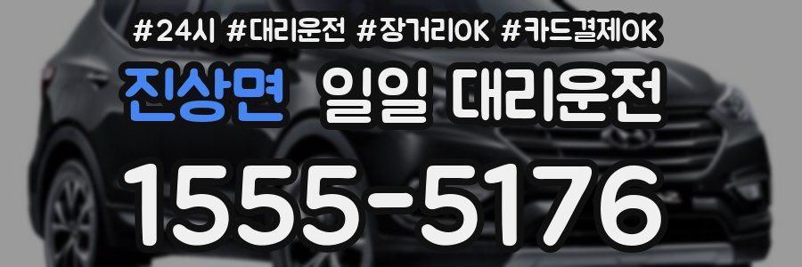 진상면 일일 대리운전