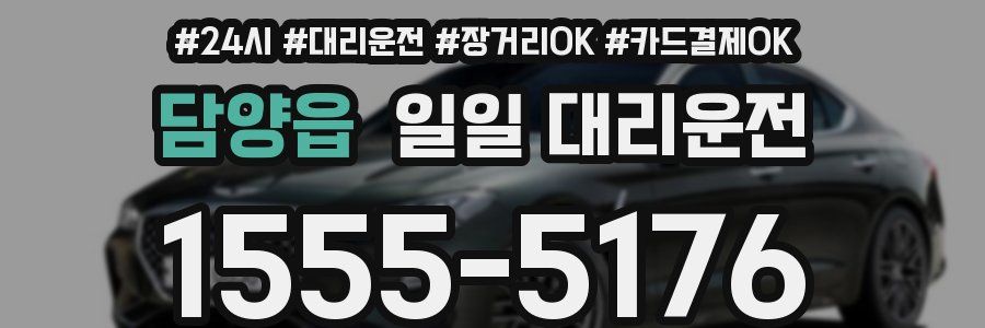 담양읍 일일 대리운전