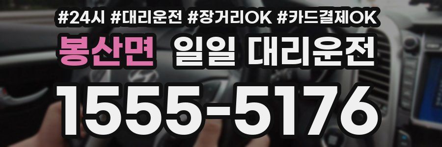 봉산면 일일 대리운전