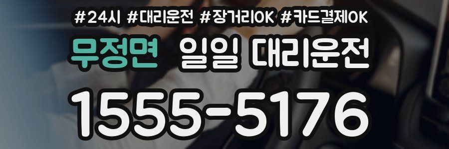 무정면 일일 대리운전