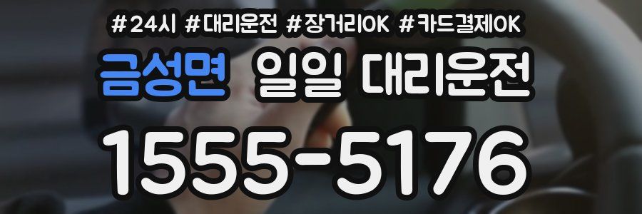 금성면 일일 대리운전