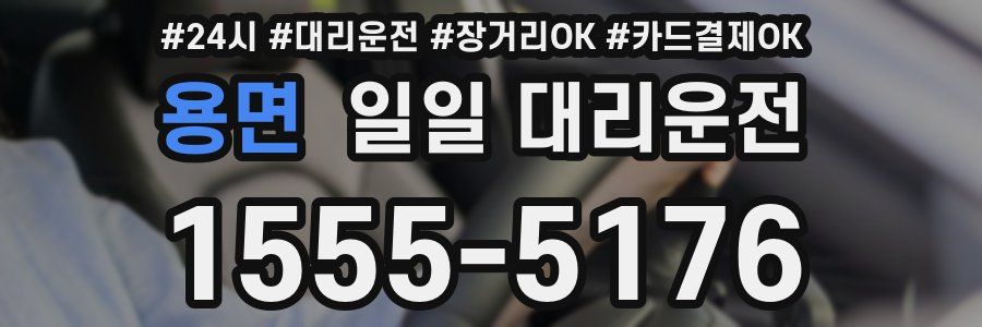 용면 일일 대리운전
