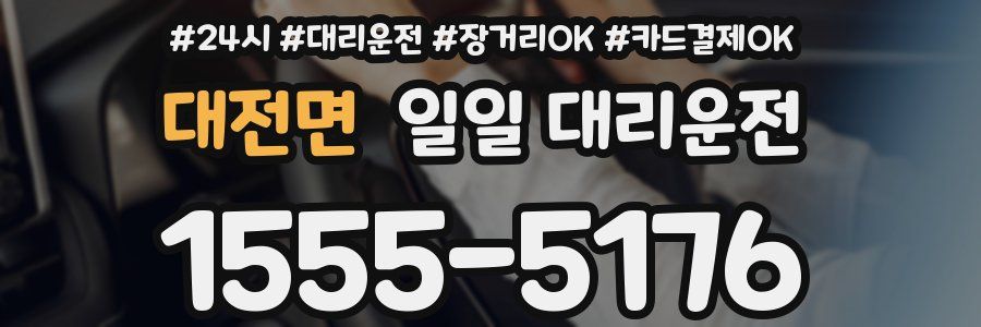 대전면 일일 대리운전