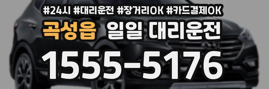 곡성읍 일일 대리운전