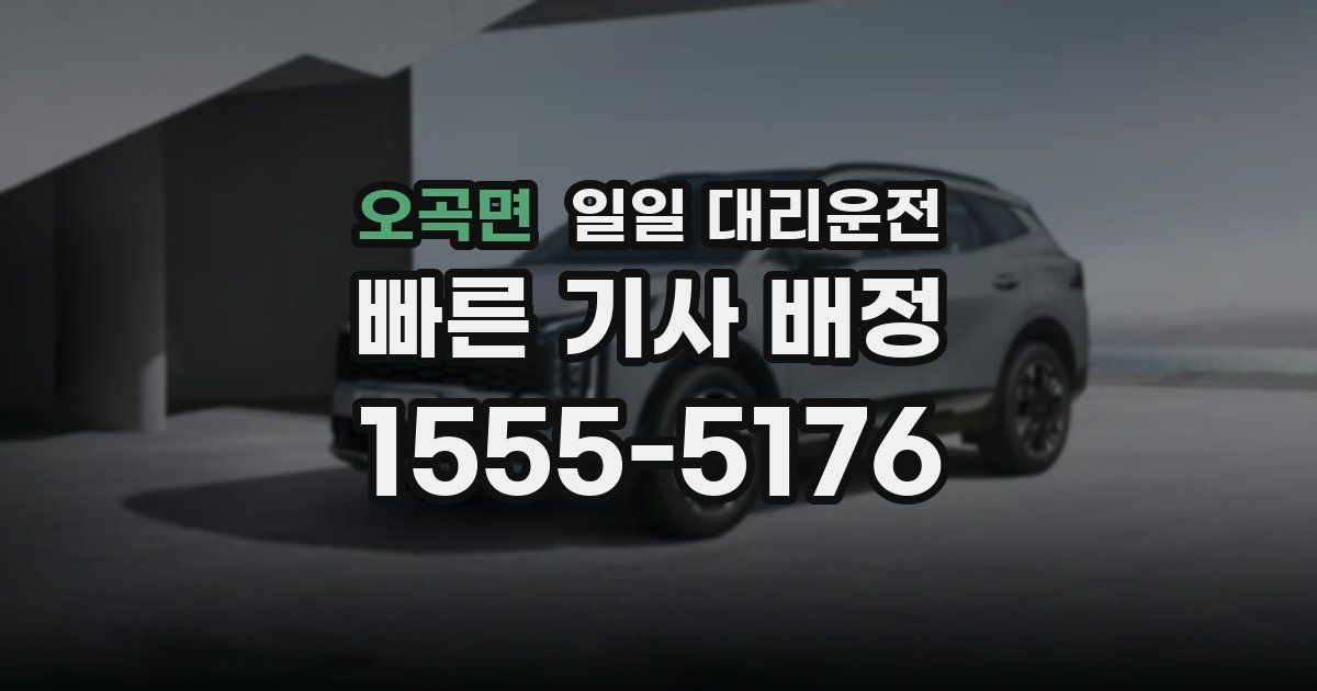 오곡면 일일 대리운전