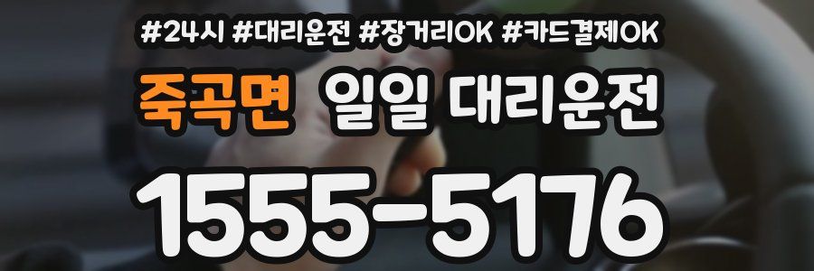 죽곡면 일일 대리운전