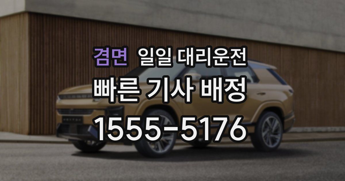 겸면 일일 대리운전