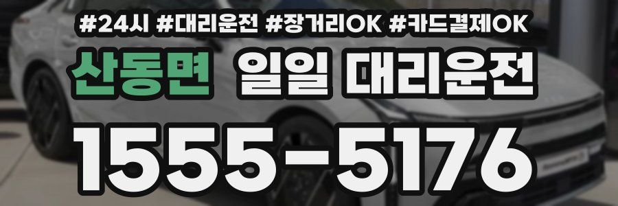 산동면 일일 대리운전