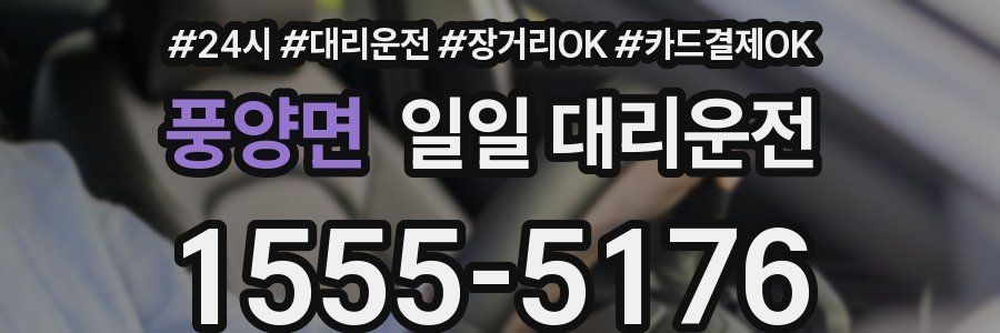 풍양면 일일 대리운전