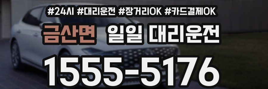금산면 일일 대리운전