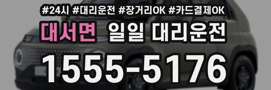 대서면 일일 대리운전