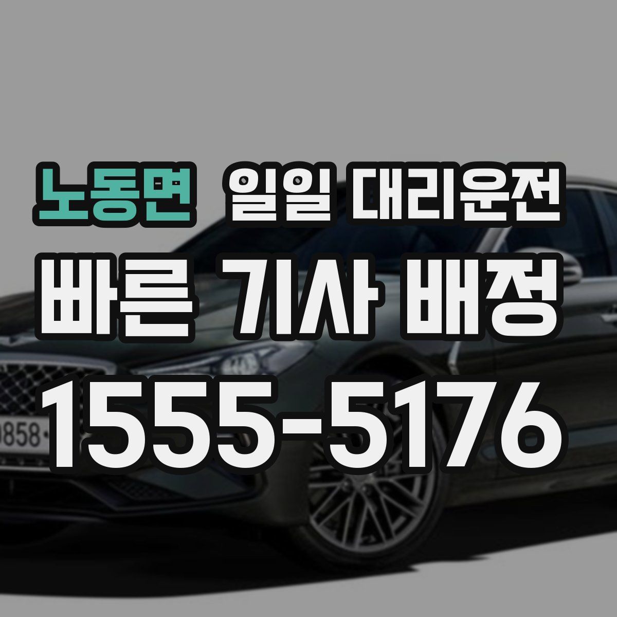 노동면 일일 대리운전