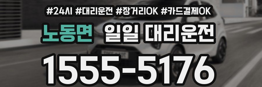 노동면 일일 대리운전