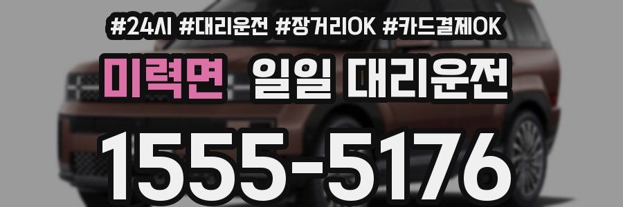 미력면 일일 대리운전