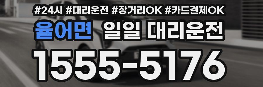 율어면 일일 대리운전