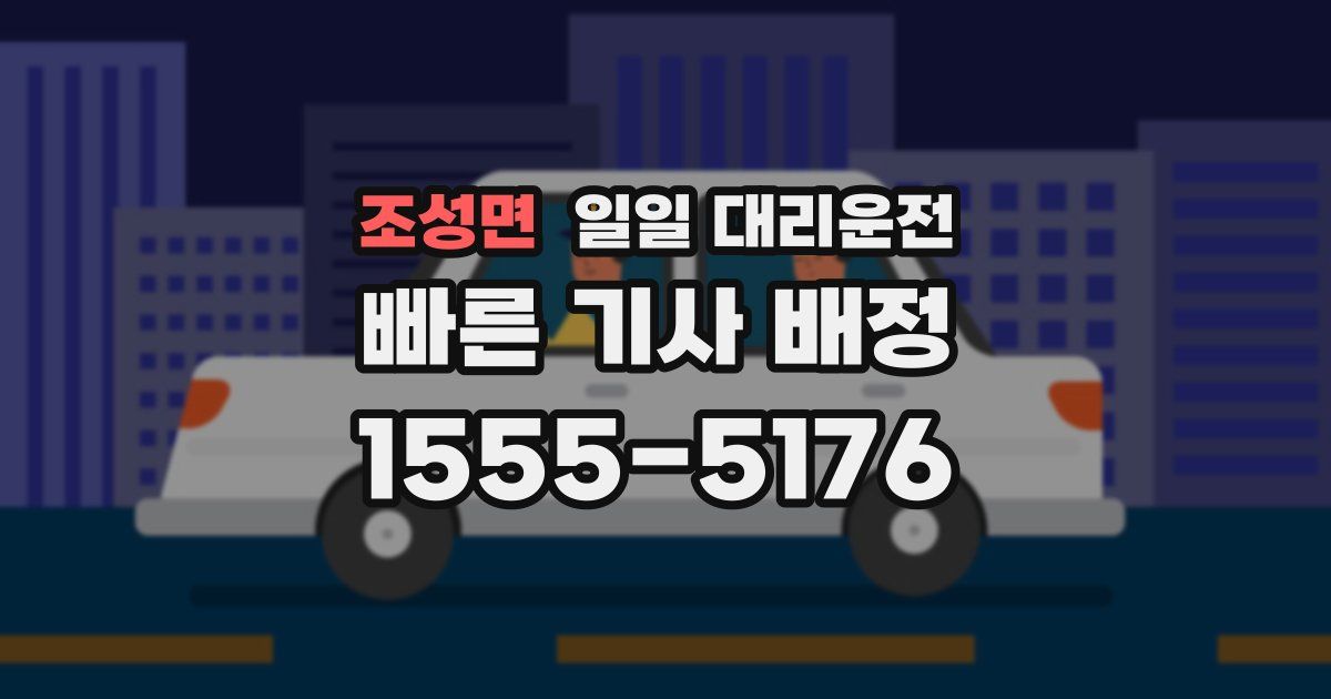 조성면 일일 대리운전