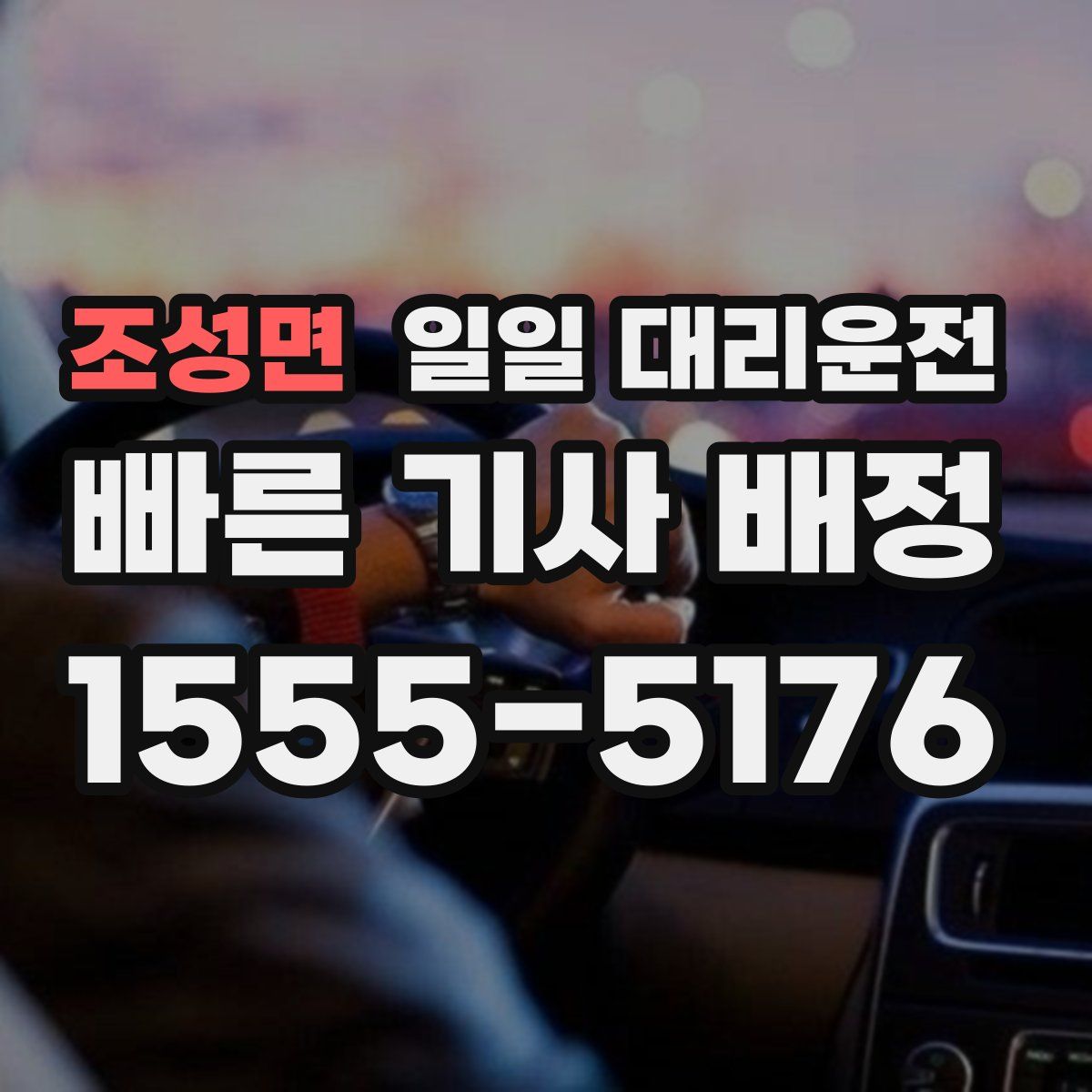 조성면 일일 대리운전