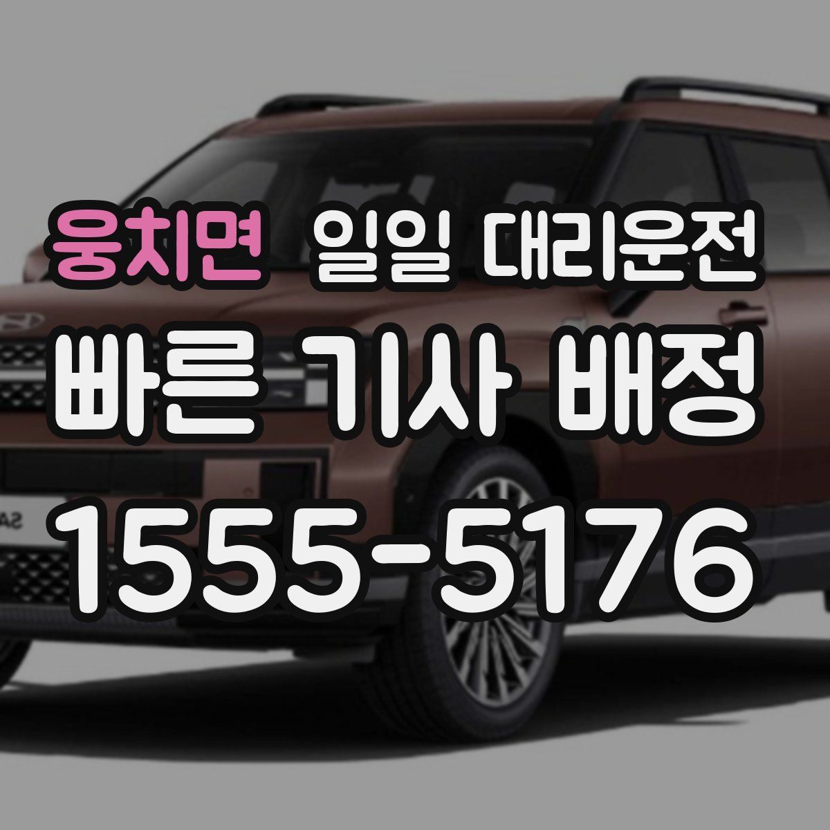 웅치면 일일 대리운전